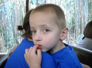 make a wish 2013 kim sd card 092