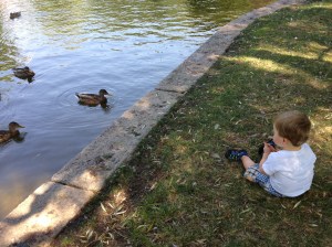 We played with ducks in the Gardens.
