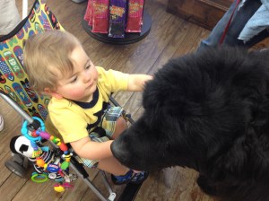 Meeting the giant doggie at Mast General Store in Boone, NC.