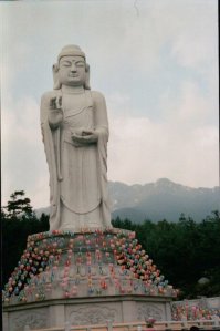 163171_473141984371_3124887_n