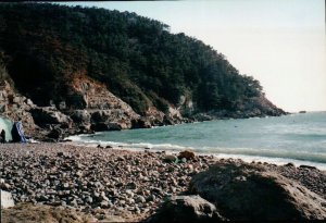 163204_473144149371_6460678_n