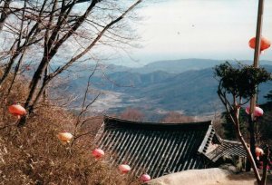 164736_473144494371_4086297_n