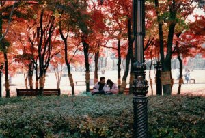 36261_473141779371_5353067_n