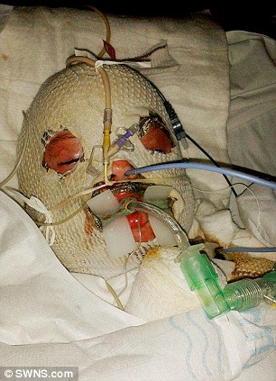 article-2530028-1A4EC52900000578-65_306x423