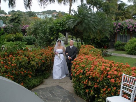 35735_397977099371_6588932_n