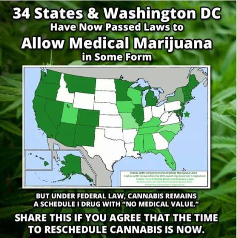 10438519_1447952575462415_1446620041458757995_n