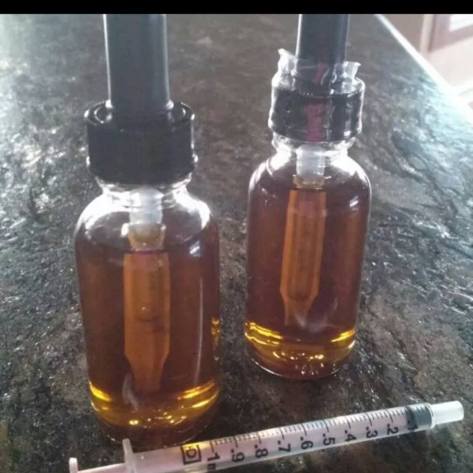 10566278_10152238330065905_173244859_n