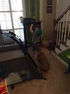 Rapunzel....Rapunzel...