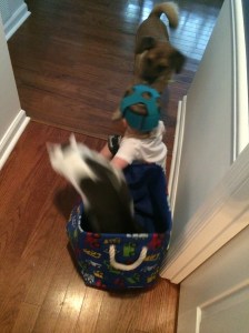 Where are you going?!