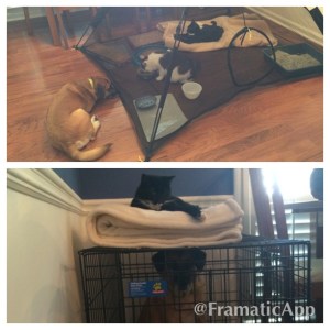 What goes around, comes around.