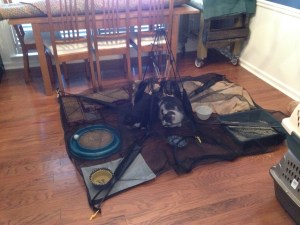 I don't know what they were doing, but somehow they collapsed the tent down on themselves.