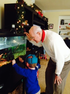 Checking out the turtles with Grandpa John.
